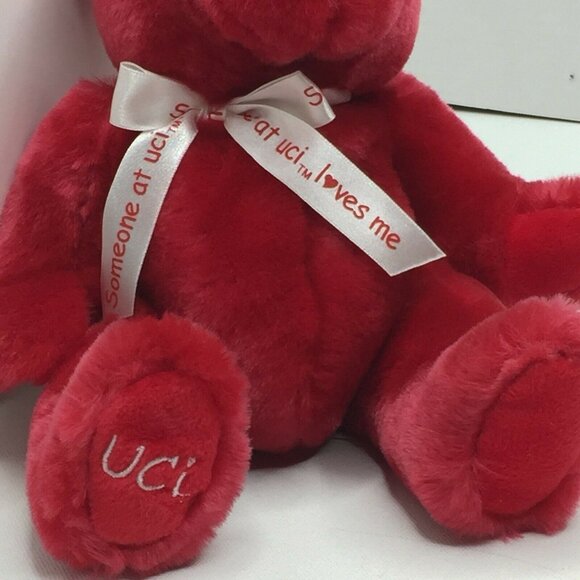 UC Irvine Someone At UCI Loves Me 10" Red Plush Teddy Bear Embroidered Heart - Picture 3 of 9